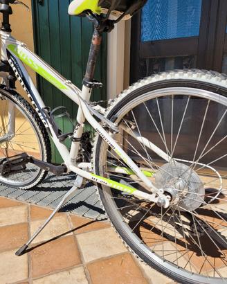 Bicicletta Bottecchia d. 24