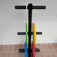 Dischi palestra sottili