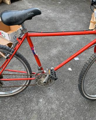 Due bici vintage MTB + City Bike da revisionare