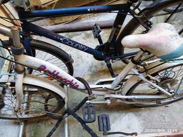 Bicicletta Bottecchia 24