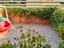 Immagine 19