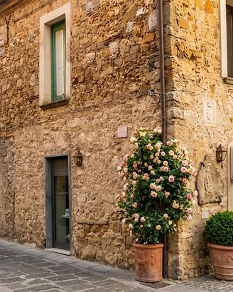 Casa Perdifumo Centro storico