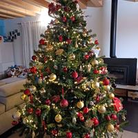 Albero di Natale