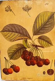 Quadro Botanico Vintage su Legno – "Cerise-Guigne"