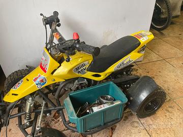 Mini quad