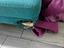 Immagine 4