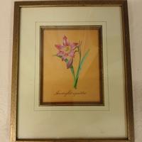 Stampe arte botanica