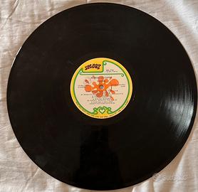 Copertina più vinile