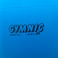 Palle fitness