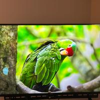 Tv+mobile tv con carrello e vano soundbar