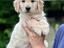 Immagine 19