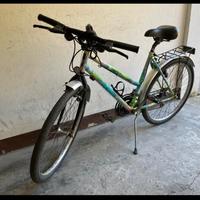 bicicletta da donna 
