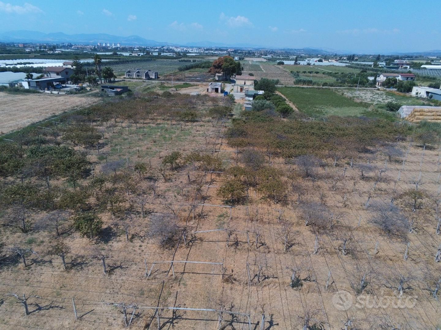 Terreno agricolo + fabbricati a Policoro - 3 ha - Vista 2