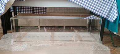 Teca in Plexiglass trasparente 5mm