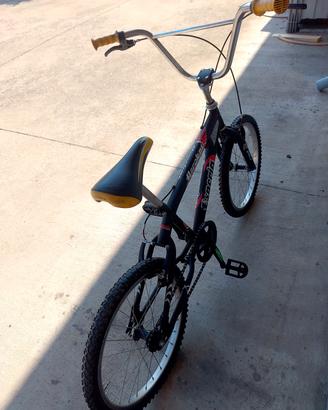 BMX anno 2010