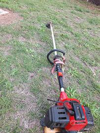 Decespugliatore a motore  
