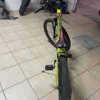 Bicicletta
