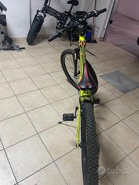 Bicicletta