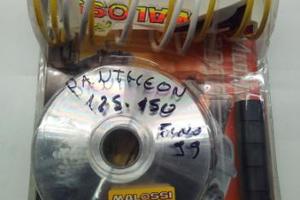 Variatore Malossi pantheon 125/150