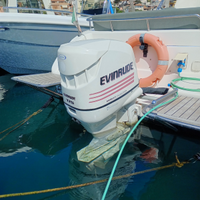 Evinrude