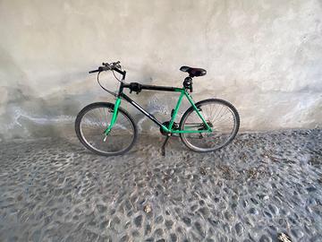 Bicicletta mountain bike