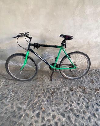 Bicicletta mountain bike