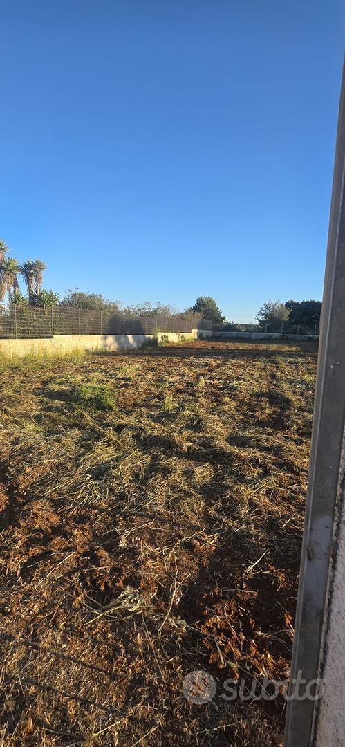 Terreno agricolo - Vista 4