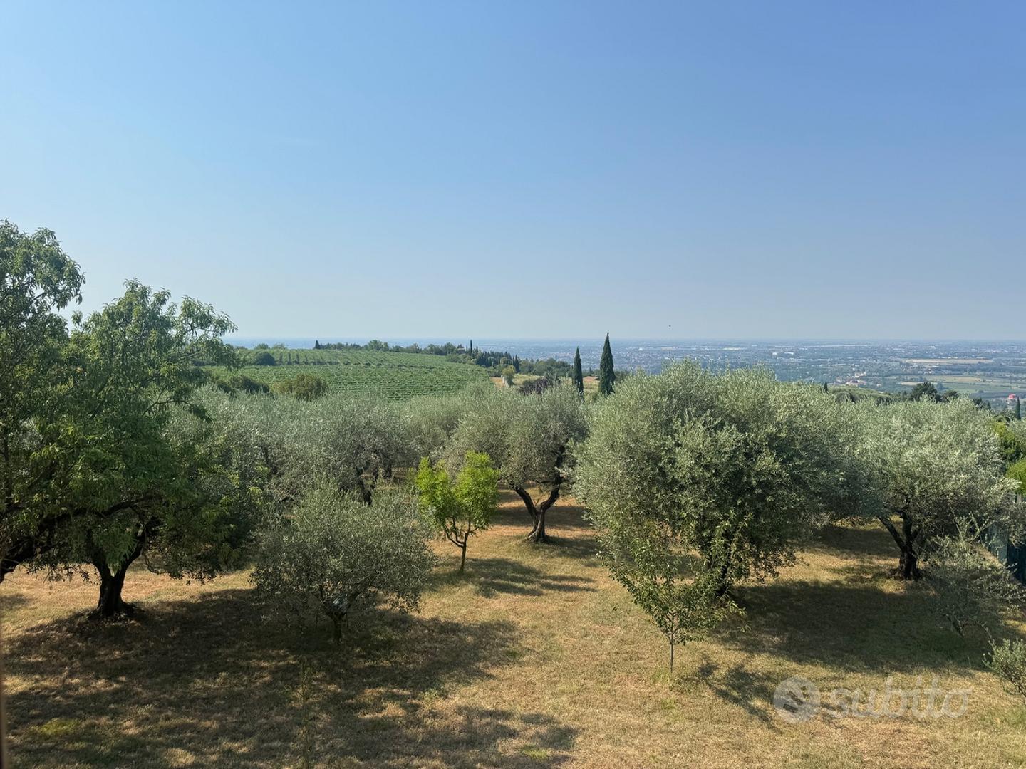 Casa – Negrar di Valpolicella, Sparavieri - Vista 2