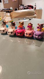 Collezione macchine 44 gatti