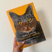 Libro - Gatti molto speciali