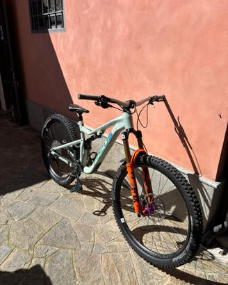 FOCUS JAM 6.9 custom