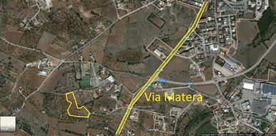 Terreno agricolo 11000 metriquadri