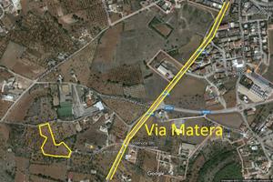 Terreno agricolo 11000 metriquadri