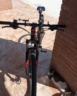 Bici kross
