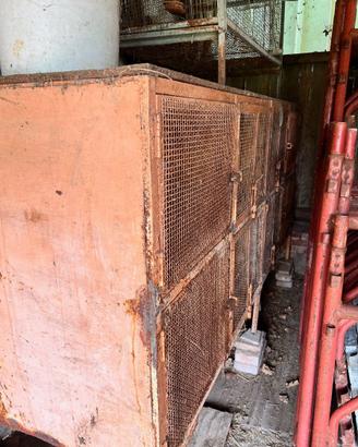 Gabbia conigli 250x80xh100 8 stalli