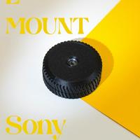 Obiettivo sony e mount
