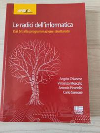 Libro le radici dell'informatica