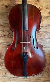 Violoncello antico Bertucci, Roma 1926 certificato