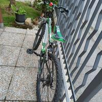 Bici ragazzo