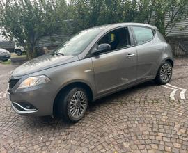 Y 1.3 mjet 2017 gold euro6