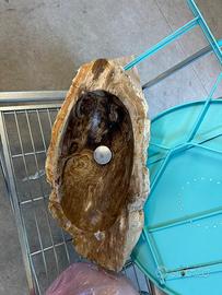 Lavandino legno fossile