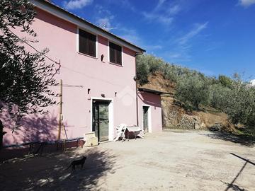 CASA INDIPENDENTE A OLEVANO ROMANO