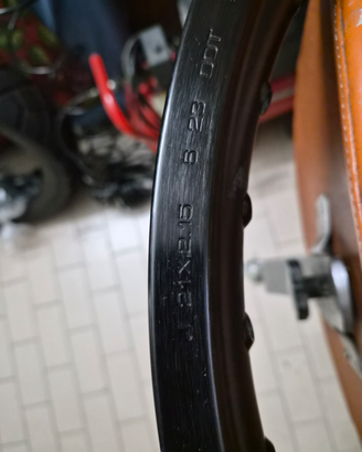 Cerchio anteriore