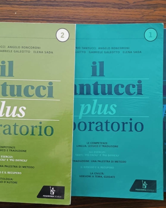 BLOCCO: TANTUCCI PLUS - GRAMMATICA e LABORATORI