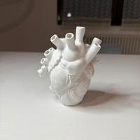 Vaso cuore anatomico arredo di design originale