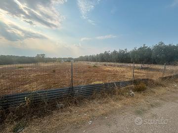 Terreno contrada Popa