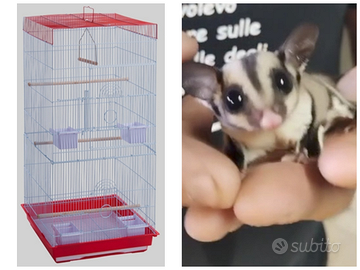 Gabbia 1 metro+Petauro piccolino+ sacca