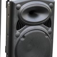 cassa amplificata ibiza port 12