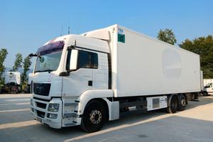 Man TGS 26.320 Frigo