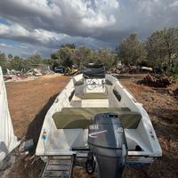 Barca Euromarine con motore Yamaha 40/60